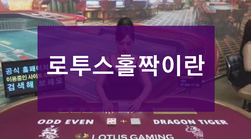 로투스홀짝