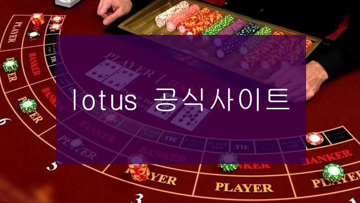 lotus 공식사이트